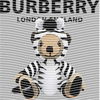 Brand Catalog-ZX 347